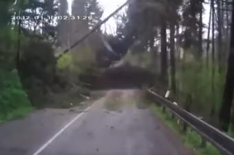 Pokoli videó: egy egész erdő támadt az autósra