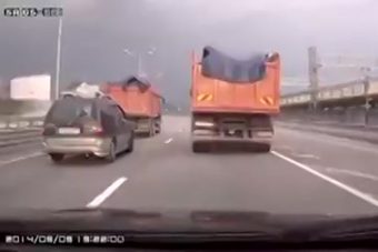 Amikor egy barom is jogosítványt kap