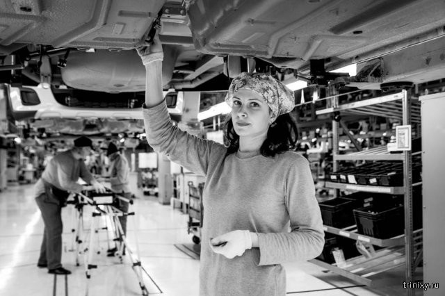 115e96d85218347c298777ffe3e0dbe5