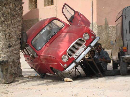 12200580_1075995249099543_736049066_n