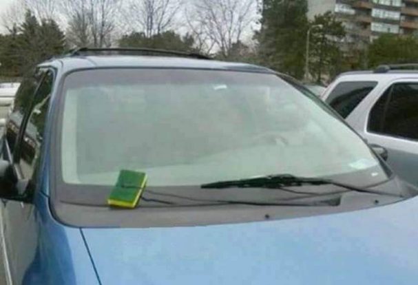 12212236_1075993509099717_1158376908_n