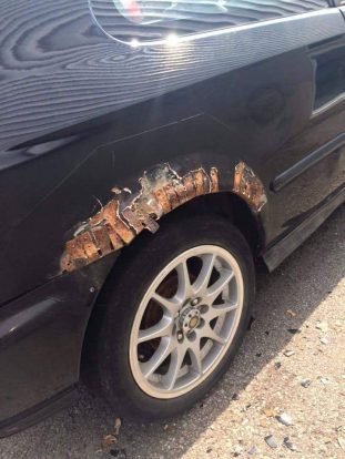 12212581_1075993349099733_1818783839_n