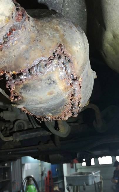 16649371_1434505219915251_8371260375652620929_n