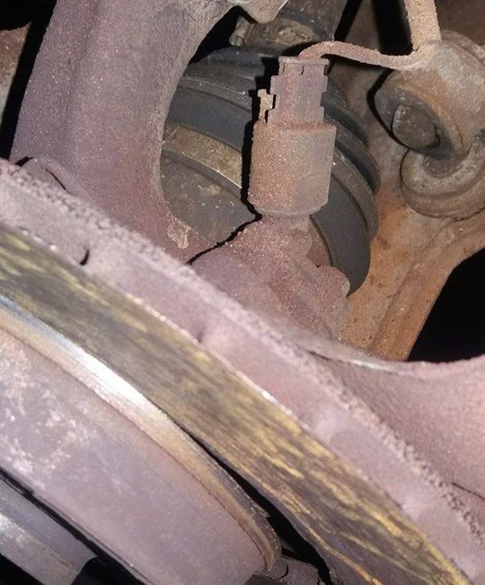 16649470_738298953008102_5930280871073573184_n