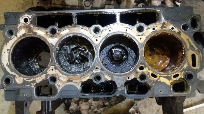 16804396_738580456313285_3959892403104049367_o