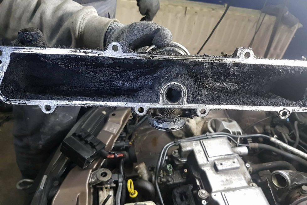 16836341_738990382938959_5546112600799087517_o