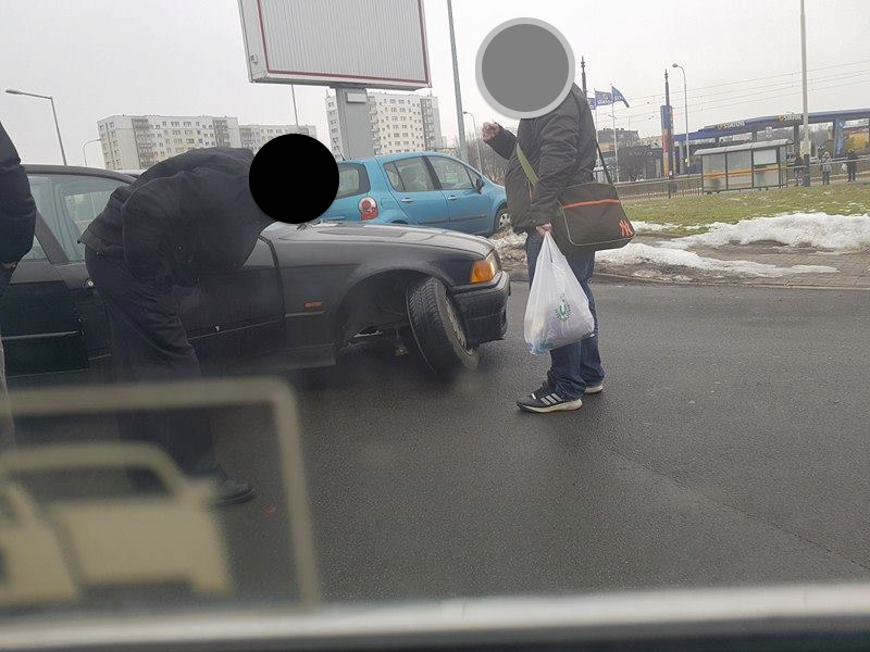 16865154_1437708482928258_8789648999022558483_n