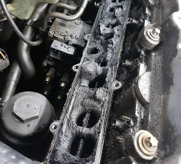 16938655_738990099605654_9047456174313772731_n