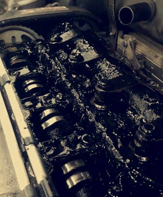 16938738_739479882890009_5400028160628952140_n