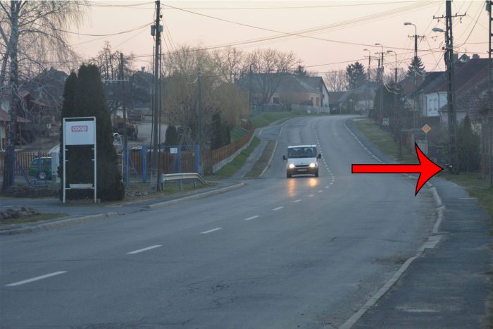 17273931_935745396562511_828339077_o