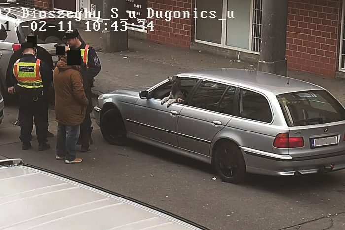 Rendőreink azt hitték, tolvajt fogtak, de nagyon meglepődtek