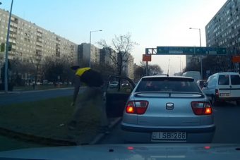 A világ csodálja a magyar szemétszedő autós jóságát