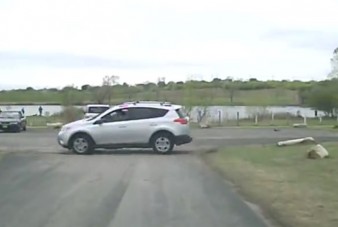 Szélsebesen tolatott a fák közé ez a Toyota