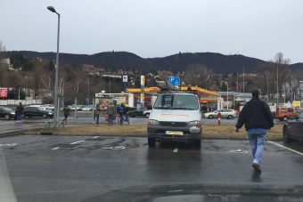 A tahóság királyát fotózták le Budapesten