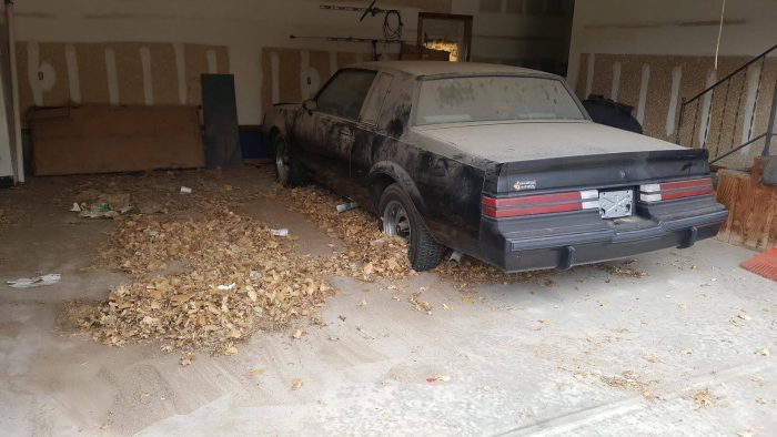 17637065_10206619629208838_3984263508110925739_o