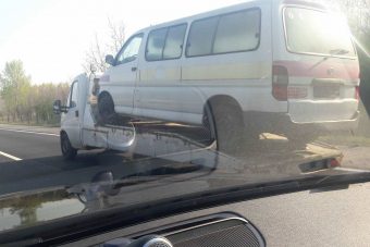 Igazi túlélőt fotóztak az M5-ösön