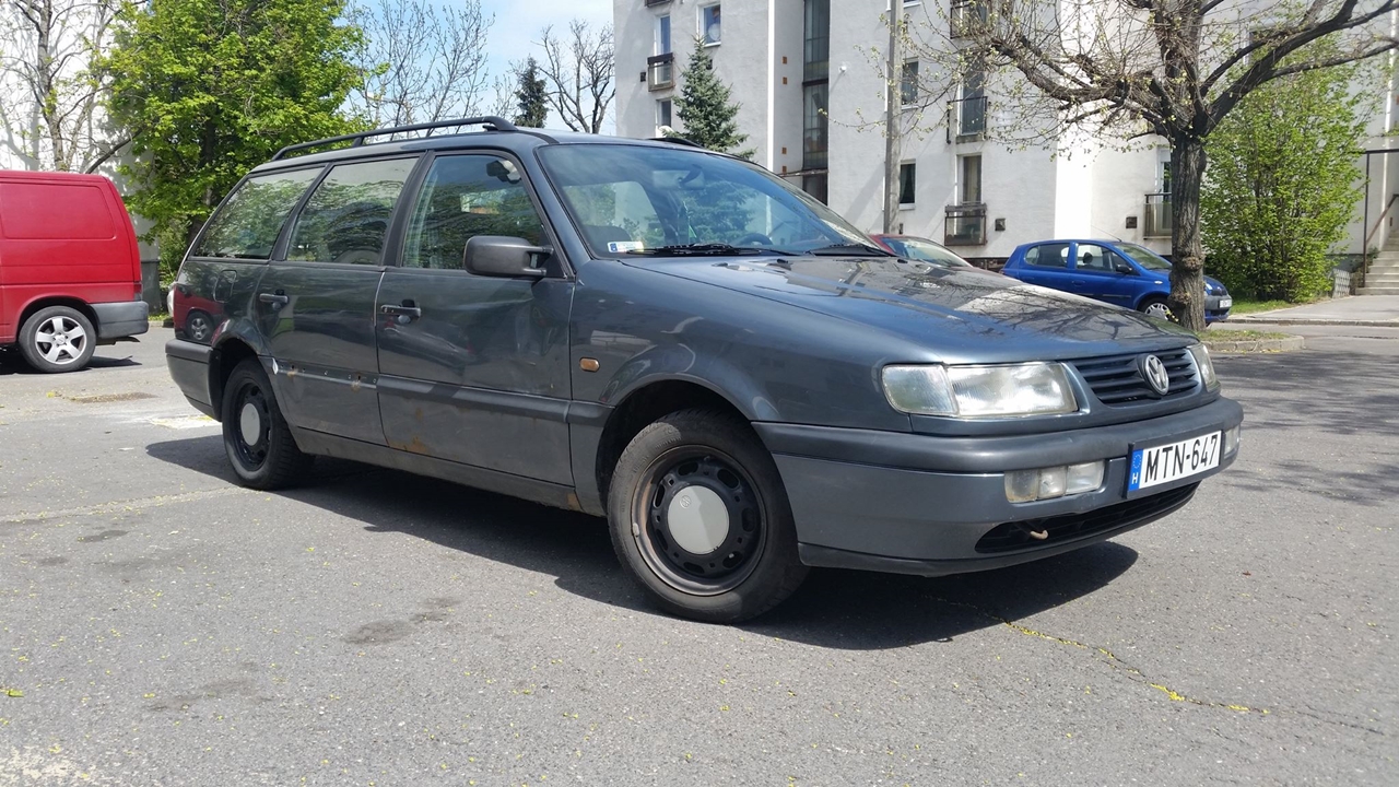 Nap hirdetése: Őszinte, szőrös Passat keresi új gazdáját 5