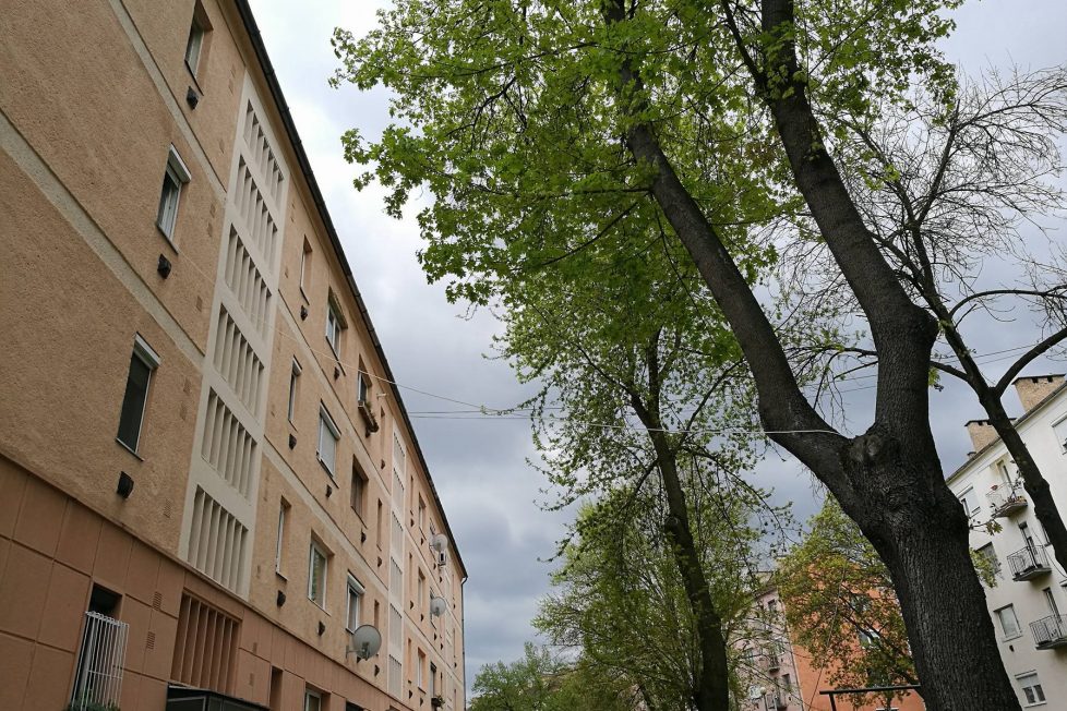 18110986_1423045264428572_829418640_o