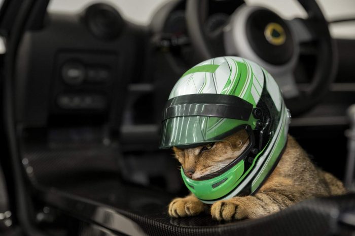 Április bolondja 2017