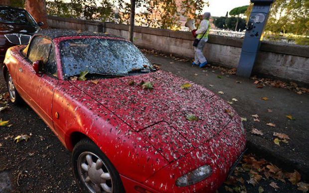 Volt már rossz napod? Most majd meggondolod 2 badday
