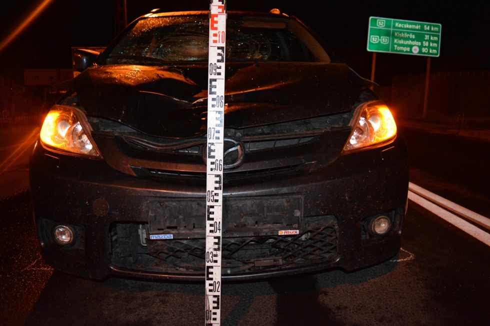 dsc_0074_11 | Vezess | Vezess