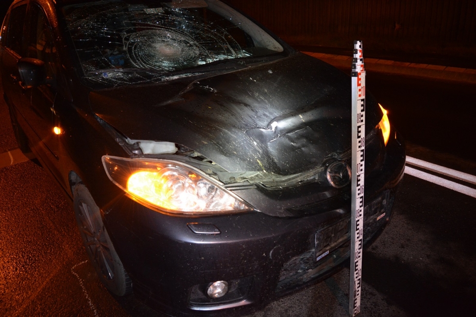 dsc_0077_1_1 | Vezess | Vezess