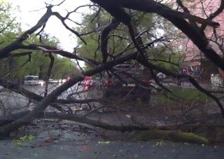 Hatalmas mázlija volt ennek az autósnak