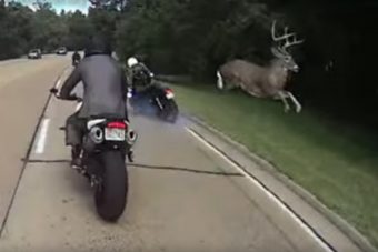 A motoros előtt tuti lepergett az élete