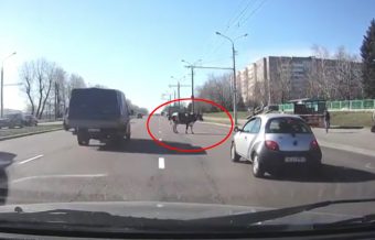 Ilyen furcsa dolgot is ritkán látni az úton