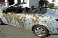 Trágyesőt szórt a földjére parkolókra egy gazda 1 Trágyesőt szórt a földjére parkolókra egy gazda 1
