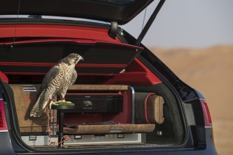 Vegyél solymászkészletet a Bentley-dhez, csak most, csak neked