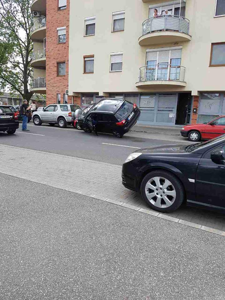 17992253_1447475525304761_2611622483646488925_n