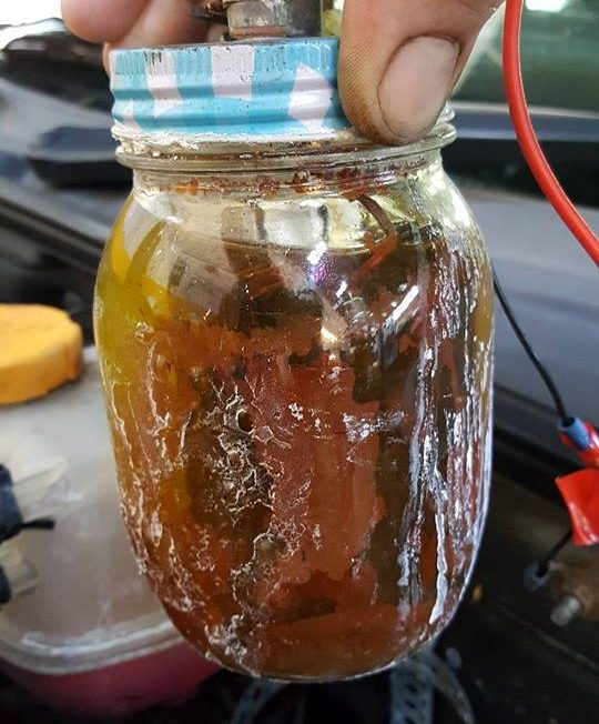 18268098_787792898058707_1412231193452333328_n