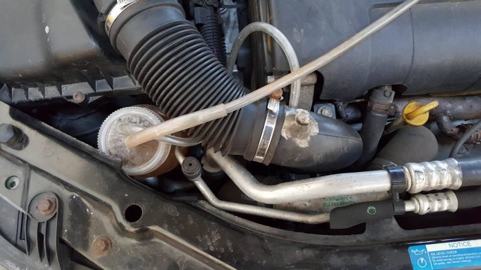 18359379_787792884725375_5579702280932436582_o