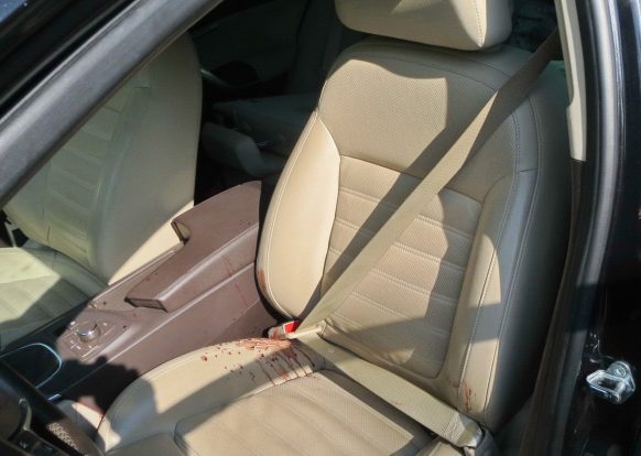 18402065_1230987850347420_8998094001578845802_o