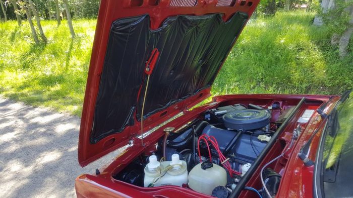 18425367_1362873583793437_4121291884635963607_n