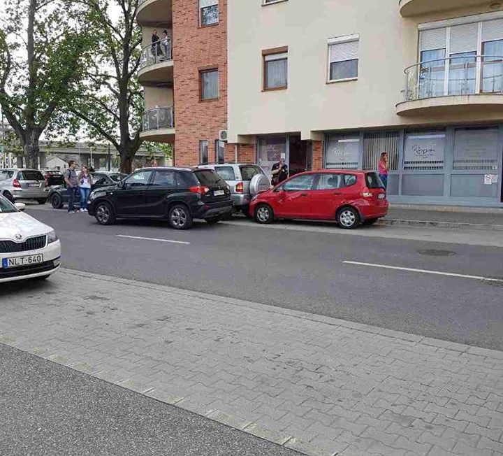 18447083_1447475611971419_7782016723327798886_n