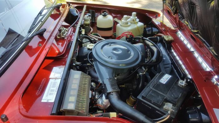 18486329_1362873463793449_8249357732698893305_n