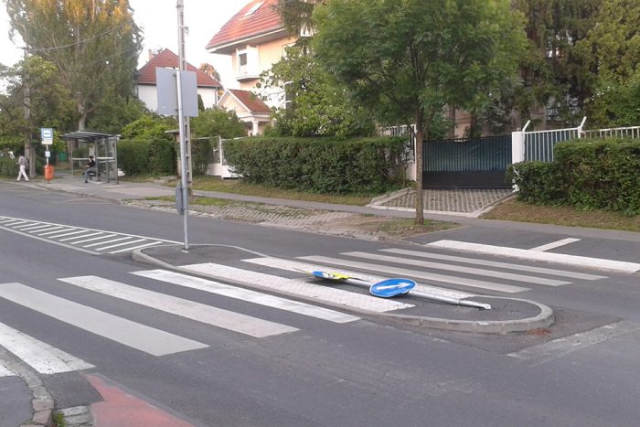 Életveszélyes zebra Budán, gyerekek veszélyben