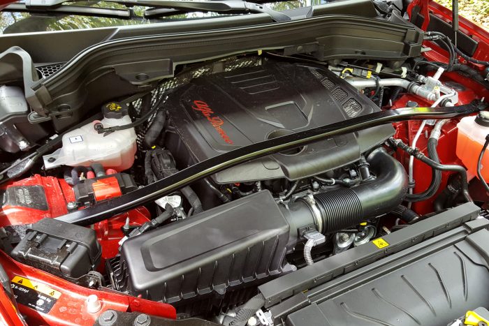 Ez az Alfa megmentője? Talán 8 | Vezess Ez az Alfa megmentője? Talán 8