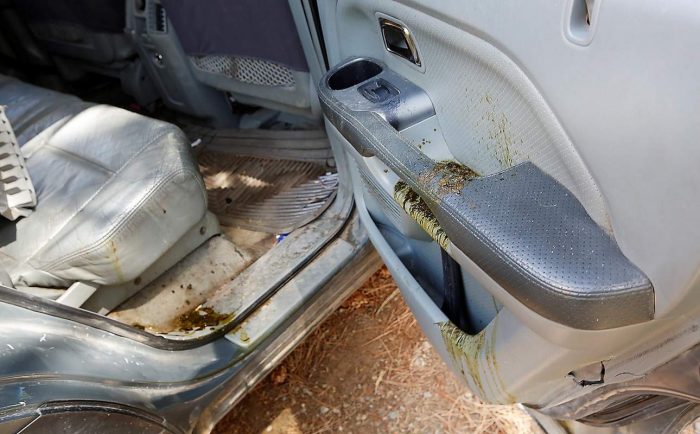 Így néz ki egy autó amit dühös medve kapott szét 5