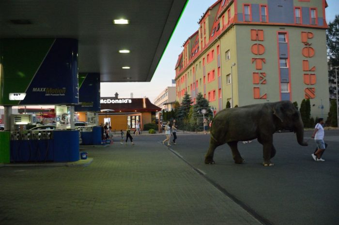 Ilyennel sem álltak még be magyar benzinkútra 2