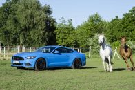 Ford Mustang GT: Bud Spencer reinkarnációja 30