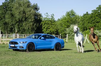 Ford Mustang GT: Bud Spencer reinkarnációja