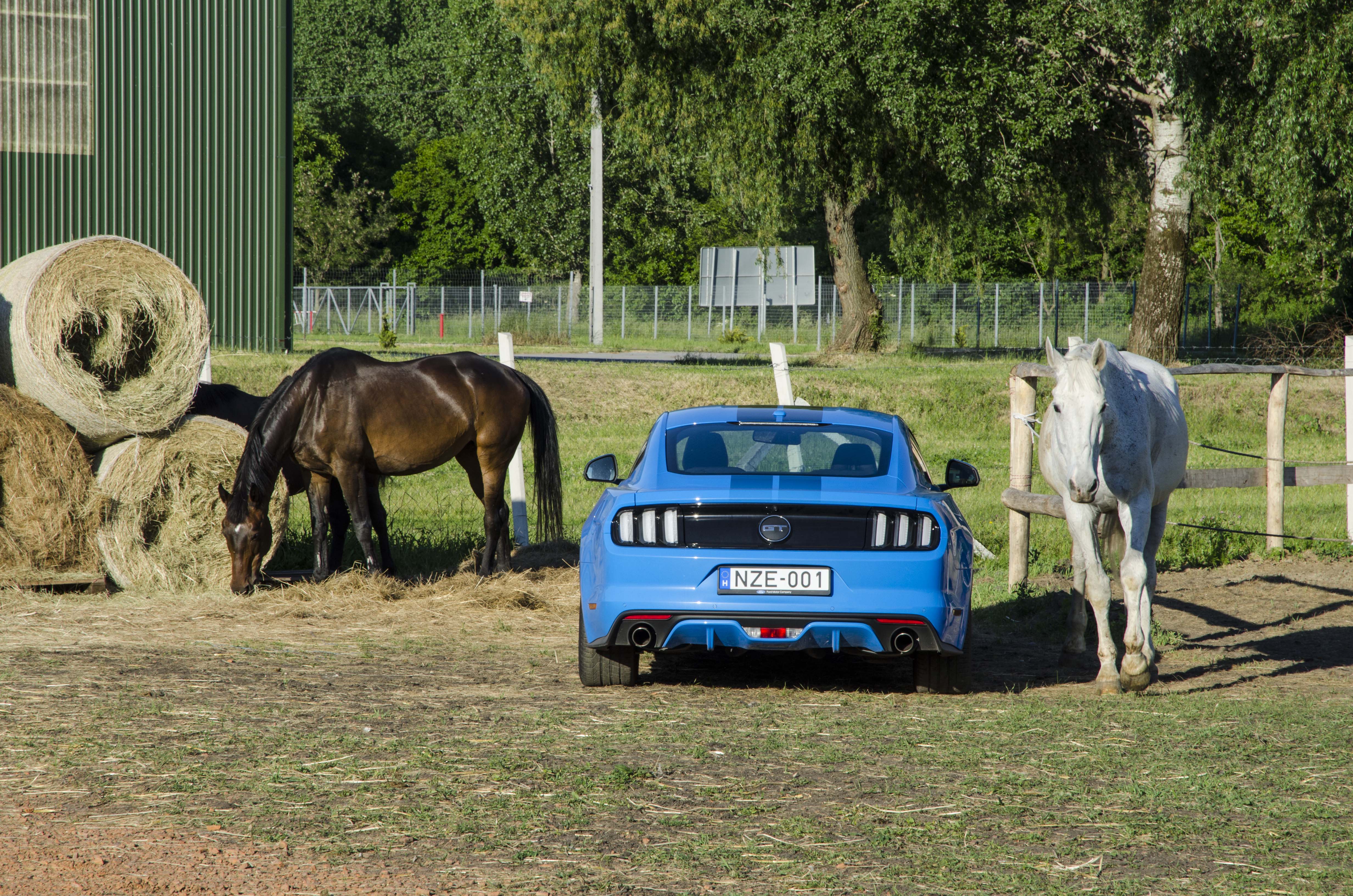 Ford Mustang GT: Bud Spencer reinkarnációja 9