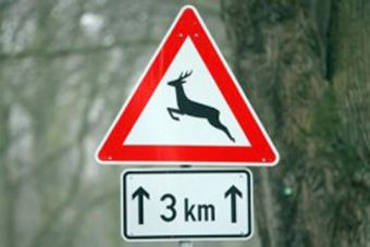 Vadveszély az M7-esen