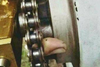 11 fotó bizonyítja, hogy az autószerelők élete bizony kemény