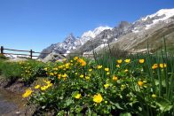 Suzukival a Mont Blanc-ra 125