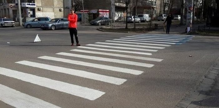 Ezt a 10 zebrát jobban is átgondolhatták volna 2