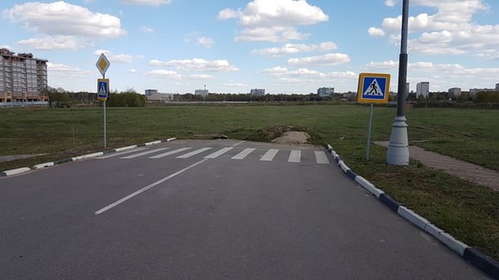 Ezt a 10 zebrát jobban is átgondolhatták volna 8